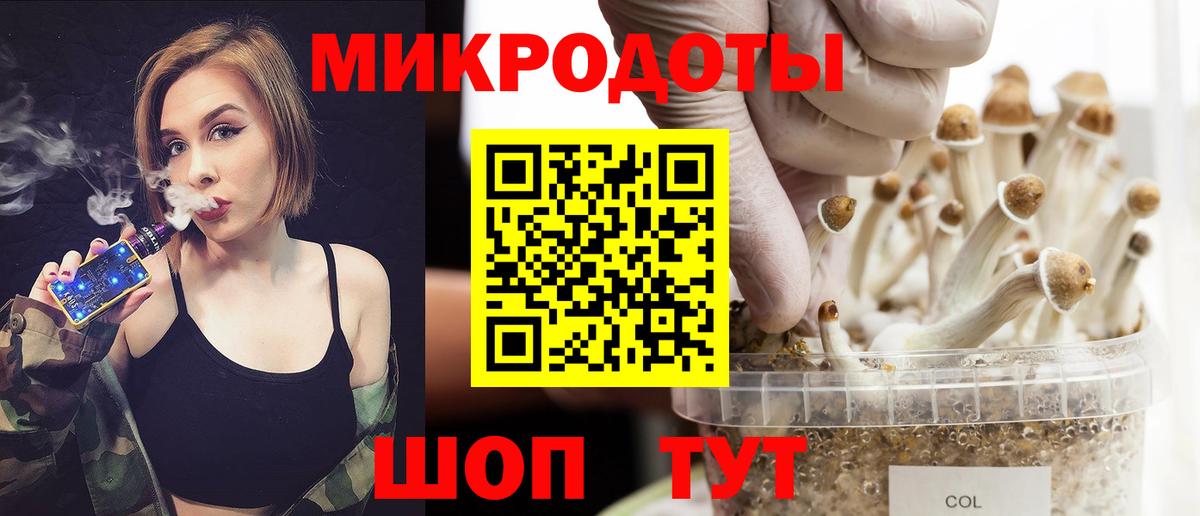 Ревда  Псилоцибиновые грибы MAGIC MUSHROOMS  Вход с VPN  Галлюциногенные грибы Psilocybe 
